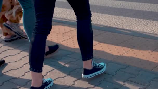 Mensen passeren een zebrapad. Voetgangers lopen in de straat gedurende de dag in slow motion — Stockvideo