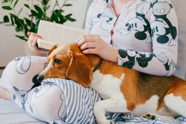 A menina de pijama está lendo um livro em casa com um cachorro beagle. Beagle é mentiras sobre os joelhos da menina — Fotografia de Stock