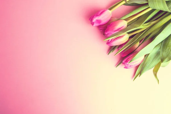 Marzo Feliz Día Mujer Concepto Primavera Tulipanes Rosados Sobre Fondo — Foto de Stock