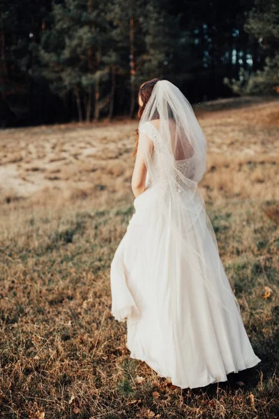 Casal Casamento Jovem Noiva Andando Campo Vista Traseira — Fotografia de Stock