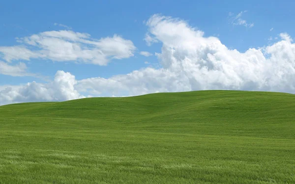 Зеленые холмы на фоне облачного неба . — стоковое фото