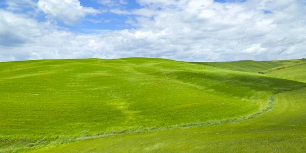 Paysage rural avec collines verdoyantes . — Photo