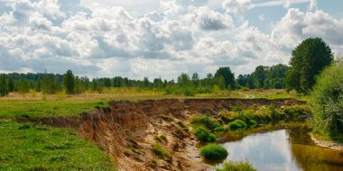 Yaz tatili, ıssız orman manzara.