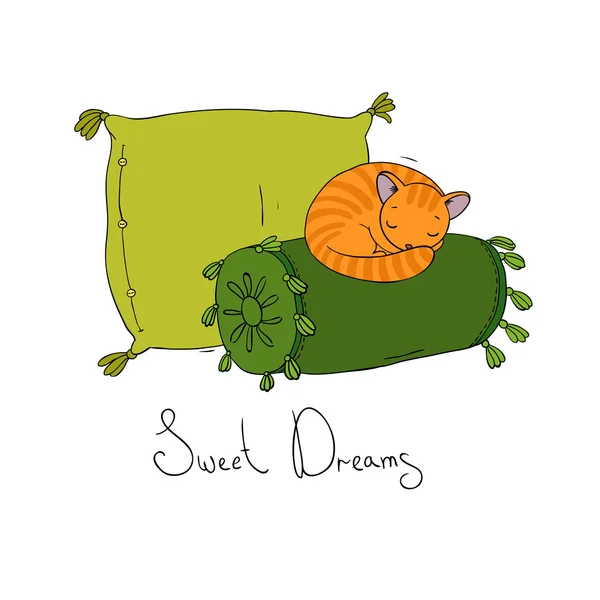 Красивые подушки и милый кот — стоковый вектор