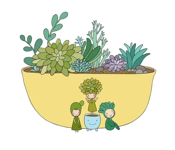 Mooie vetplanten in de pot. Little fairy. — Stockvector