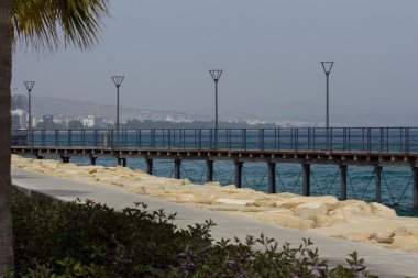 Palm, deniz ve binalar ile manzara