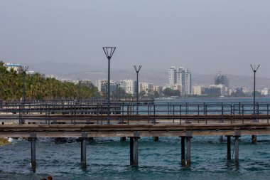 Palm, deniz ve binalar ile manzara