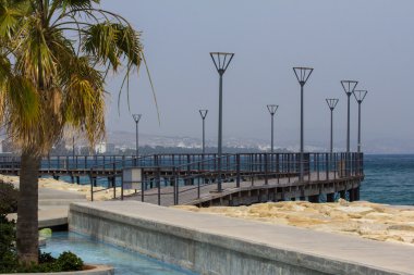 Palm, deniz ve binalar ile manzara