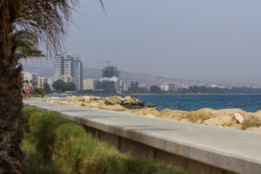 Palm, deniz ve binalar ile manzara
