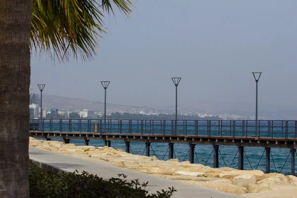 Palm, deniz ve binalar ile manzara
