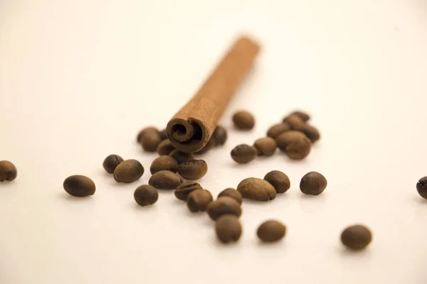 Palito de canela e grãos de café — Fotografia de Stock