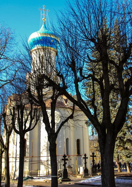 Chiesa e albero nella giornata di sole . — Foto Stock