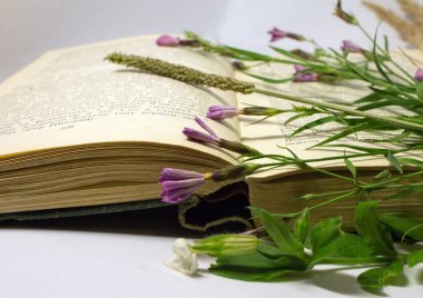 Bir alan üzerinde açık bir kitap çiçekler. Honore de Balzac, Moskova, Rusya, 17 Ağustos 2017 açık bir kitap ile natürmort.