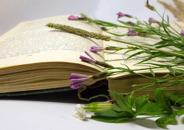 Bloemen Van Een Veld Een Open Boek Stilleven Met Een — Stockfoto