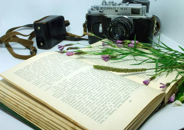 Field Flowers Raceme Rowan Berry Photo Camera Open Book Still — Stock Photo, Image