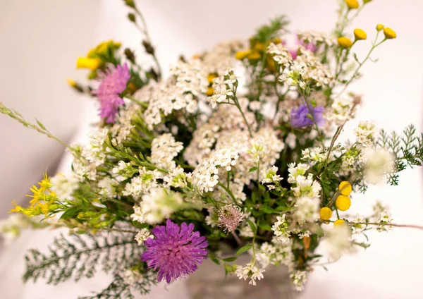 Букет польових квітів ізольований . — стокове фото