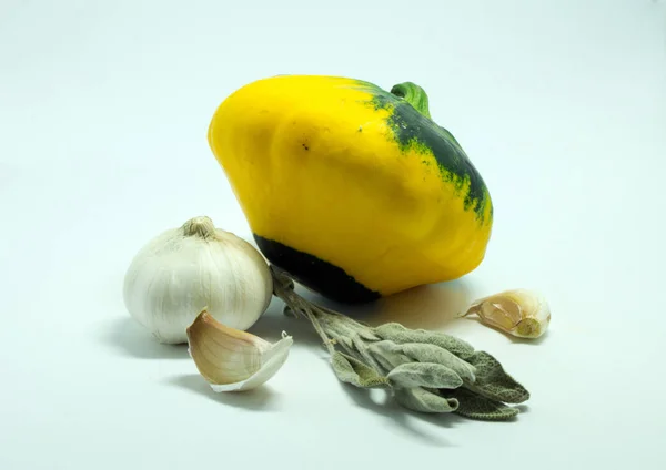 Calabaza manchada sobre un fondo blanco y ajo — Foto de Stock