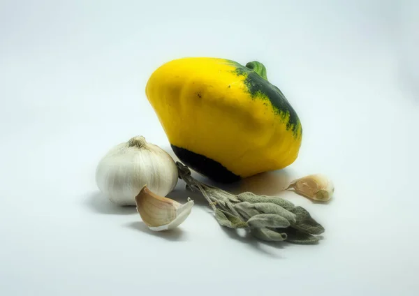 Calabaza manchada sobre un fondo blanco y ajo — Foto de Stock