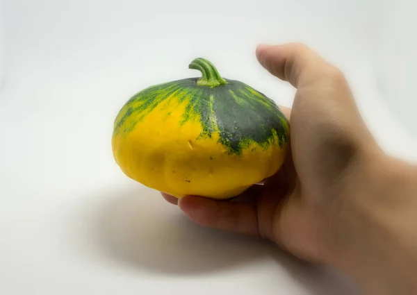 Calabaza manchada sobre un fondo blanco y la mano del hombre —  Fotos de Stock