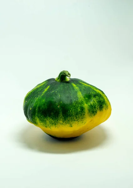 Calabaza moteada sobre un fondo blanco . — Foto de Stock