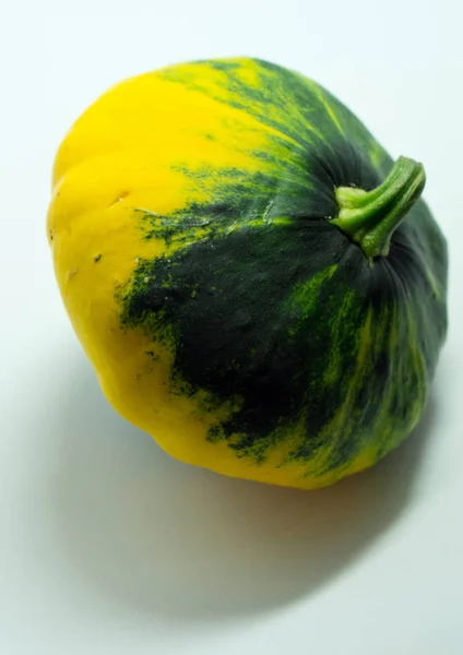 Calabaza moteada sobre un fondo blanco . — Foto de Stock