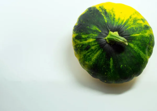 Calabaza moteada sobre un fondo blanco . — Foto de Stock