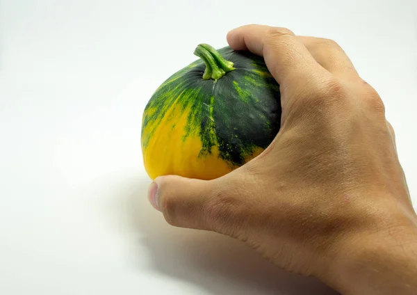Spotted squash on a white background and man's hand — Stock Photo, Image