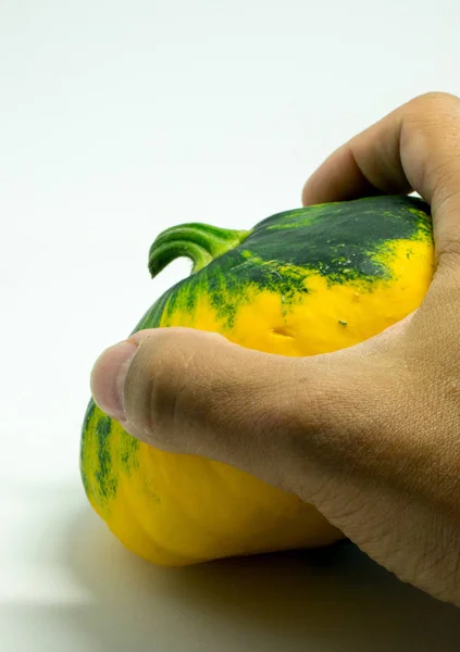 Calabaza manchada sobre un fondo blanco y la mano del hombre — Foto de Stock