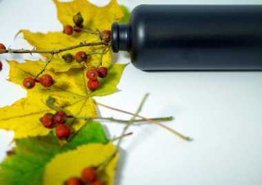 Sonbahar yaprakları, rose hips ve bir şişe ile natürmort