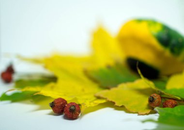 sebze ve meyveler üzerinde sonbahar yaprakları
