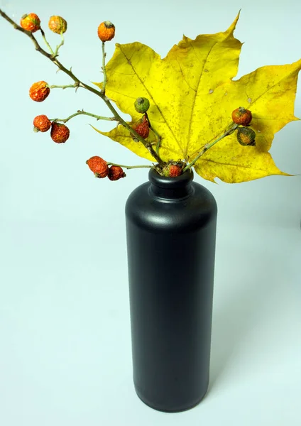 Натюрморт с осенними листьями, шиповником и бутылкой — стоковое фото