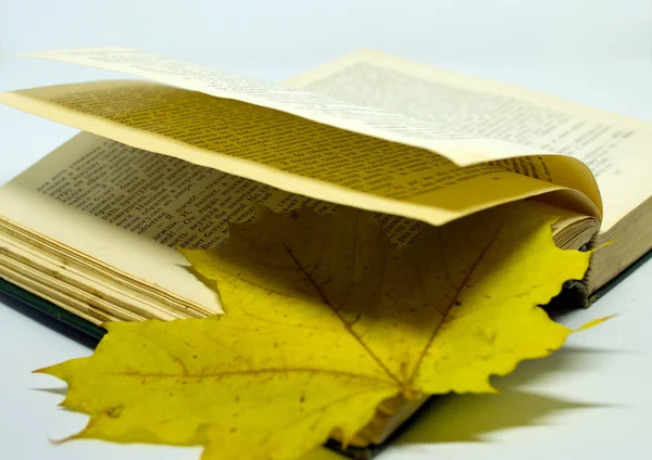 一本打开的书和一片黄叶 孤立的静止不动的生活 — 图库照片