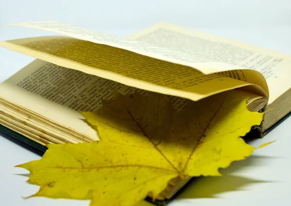 leaf through a book