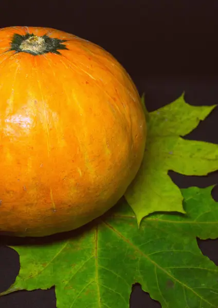 Stilleben med hälften orange pumpa och gula blad — Stockfoto