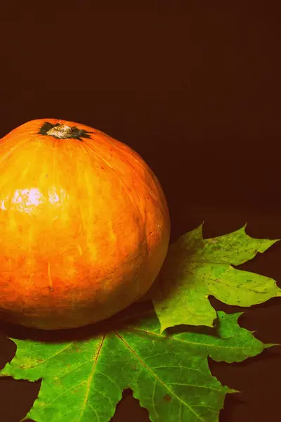 Nature Morte Avec Demi Citrouille Orange Feuilles Jaunes Sur Fond — Photo