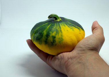 Squash beyaz bir arka plan üzerinde elinde gördüm. izole sebze.
