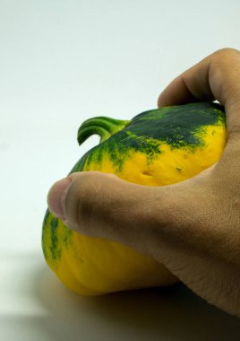 Benekli squash ve elini beyaz zemin üzerinde. izole nesneleri.