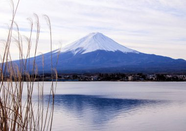 Fuji Dağı'nın, orman ve göl ile kış manzara. Japonya doğası. Dünyanın ünlü ve en güzel yerlerine.