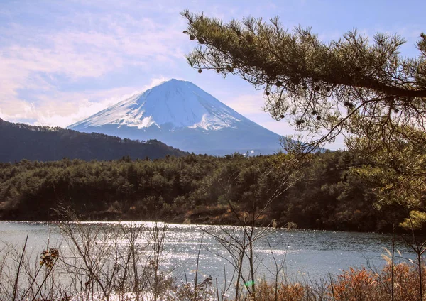 Fuji Dağı Nın Orman Göl Ile Kış Manzara Japonya Doğası — Stok fotoğraf