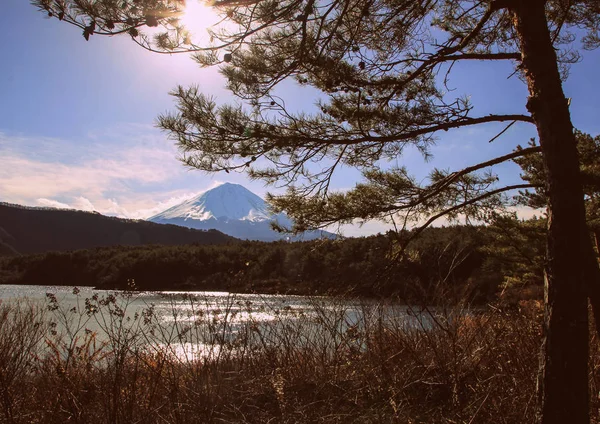Fuji Dağı Nın Orman Göl Ile Kış Manzara Japonya Doğası — Stok fotoğraf