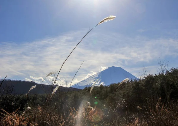 Fuji Dağı Yeşil Çim Ile Çayır Ile Kış Manzara Japonya — Stok fotoğraf