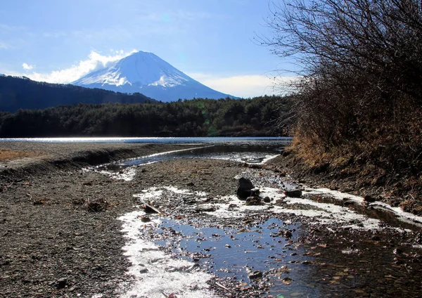 Paisaje Invernal Con Monte Fuji Bosque Hielo Río Naturaleza Japón —  Fotos de Stock