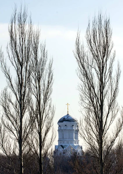 Oude Russische Kerk Achter Bomen Winterlandschappen Rusland — Stockfoto