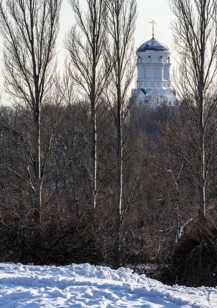 Velha Igreja Russa Atrás Das Árvores Paisagens Inverno Rússia — Fotografia de Stock