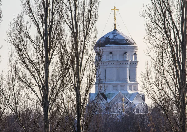 Velha Igreja Russa Atrás Das Árvores Paisagens Inverno Rússia — Fotografia de Stock