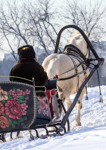 Man Cart White Horse Winter Park Winter Landscapes Russia Moscow — Stock Photo, Image
