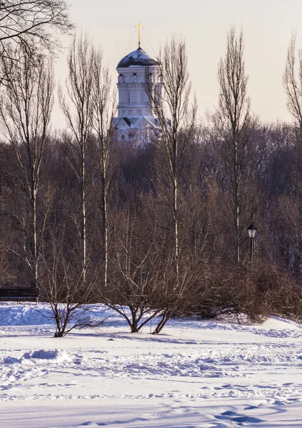 the old Russian church behind the trees. Winter landscapes in Russia.