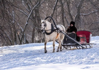Beyaz atın kış Park adam arabası. Kış manzaraları Rusya'da. Moskova, Rusya, 2018.01.24.