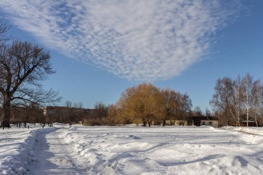 2019.02.19, Moskova, Rusya. Ufuk çizgisi ve elma bahçesi olan kış şehirleri. Kış parkında dolaşıyorum..