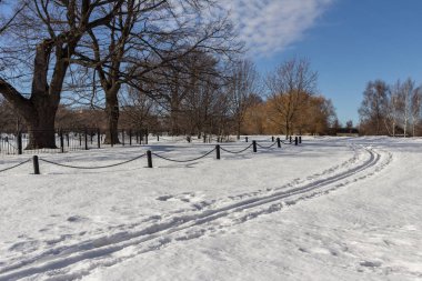 2019.02.19, Moskova, Rusya. Ufuk çizgisi ve elma bahçesi olan kış şehirleri. Kış parkında dolaşıyorum..